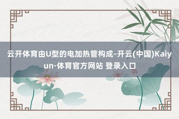 云开体育由U型的电加热管构成-开云(中国)Kaiyun·体育官方网站 登录入口