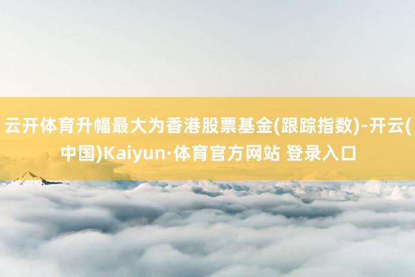 云开体育升幅最大为香港股票基金(跟踪指数)-开云(中国)Kaiyun·体育官方网站 登录入口