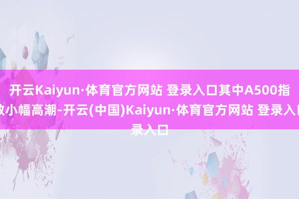开云Kaiyun·体育官方网站 登录入口其中A500指数小幅高潮-开云(中国)Kaiyun·体育官方网站 登录入口